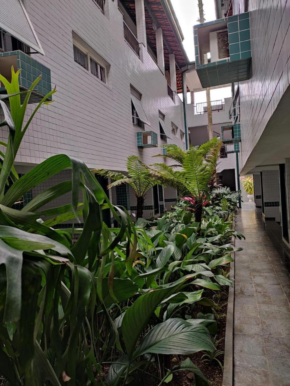 Grande 300mt Da Apartamento *